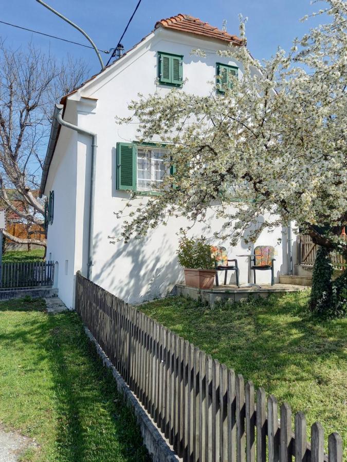 Ferienhaus Im Thermenland Ilz Bagian luar foto
